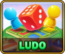 Ludo Game